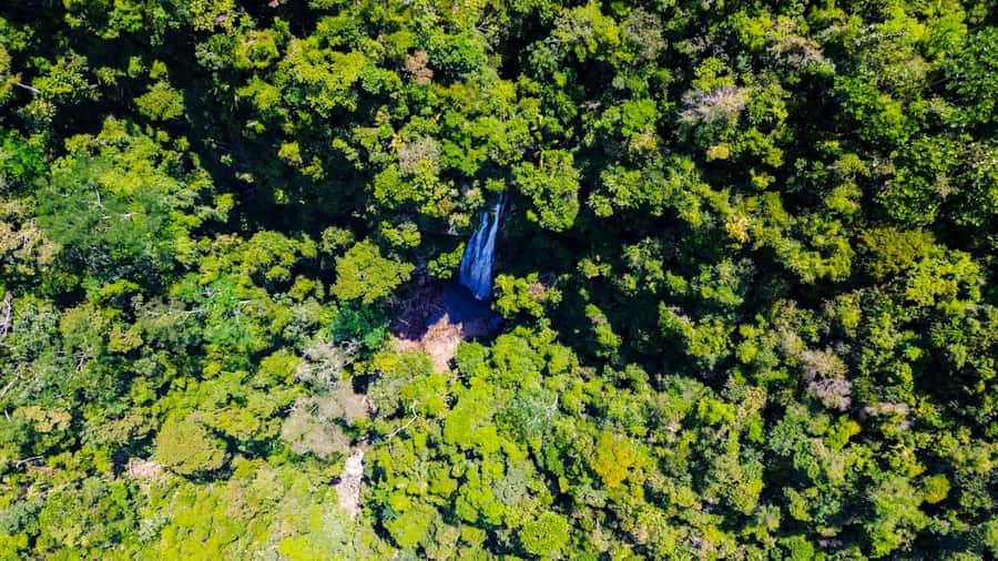 1-Day Trip from Medellín: Paragliding & Swim in Waterfall - The 20-minute cloudforest hike