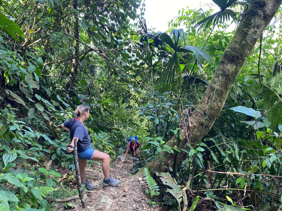 1-Day Trip from Medellín: Paragliding & Swim in Waterfall - Taking flight over the Cocorná mountains