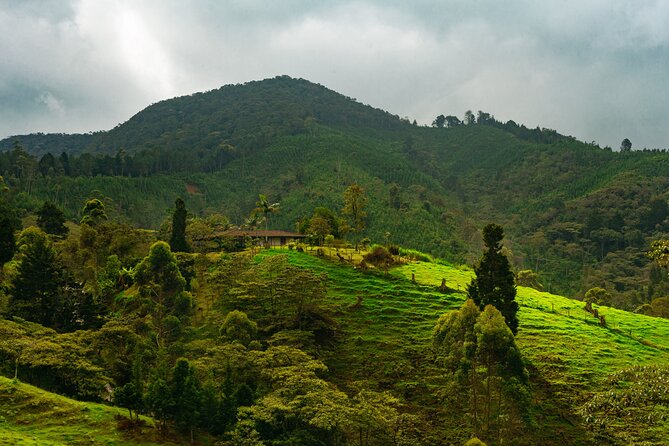 100-Year-Old family-run Finca: Horseback Riding & More - Key details before you book