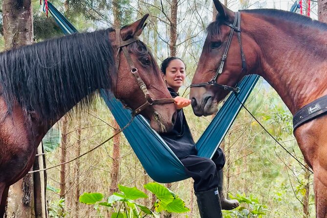 100-Year-Old family-run Finca: Horseback Riding & More - Meeting the horses again with carrots