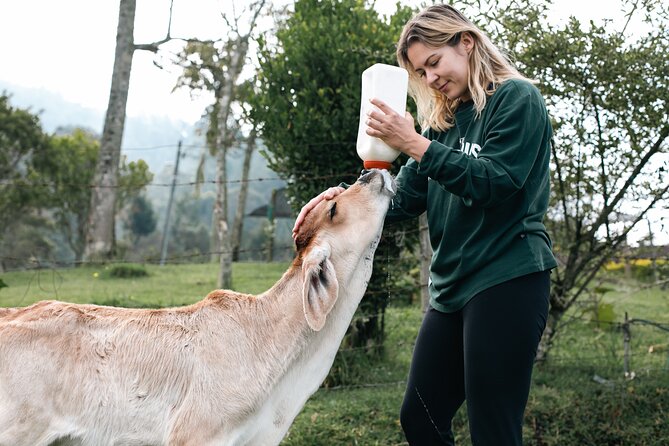 100-Year-Old family-run Finca: Horseback Riding & More - Is $155 a fair price?
