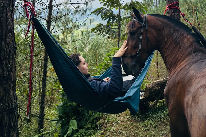 100-Year-Old family-run Finca: Horseback Riding & More - Milking cows before breakfast