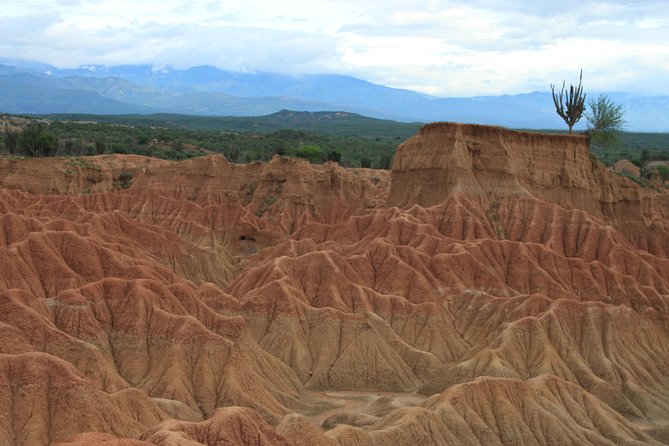 2-Day Private Tour to the Tatacoa Desert from Bogotá – Astronomy - Red Cuzco and gray Los Hoyos