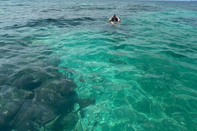 3 day private tour, crystal clear sea and islands near Cartagena - Bird Island, Sanguare, and the night glow