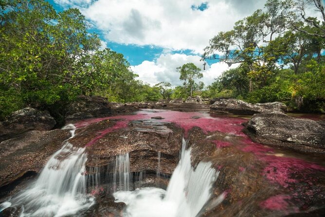 3-Day Trip to Caño Cristales from Bogota - Five details to know before you book