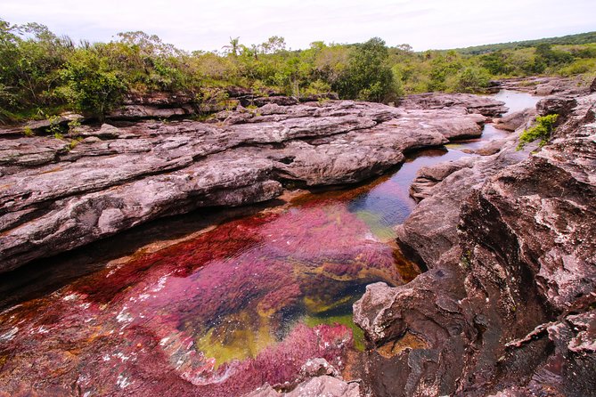 3-Day Trip to Caño Cristales from Bogota - Small groups make the walking easier