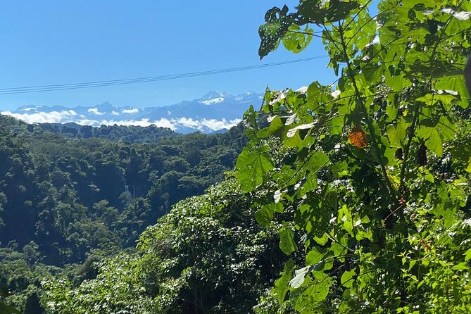 4-Day Walking Tour to Lost City of Sierra Nevada - Food, guides, and the small-group advantage