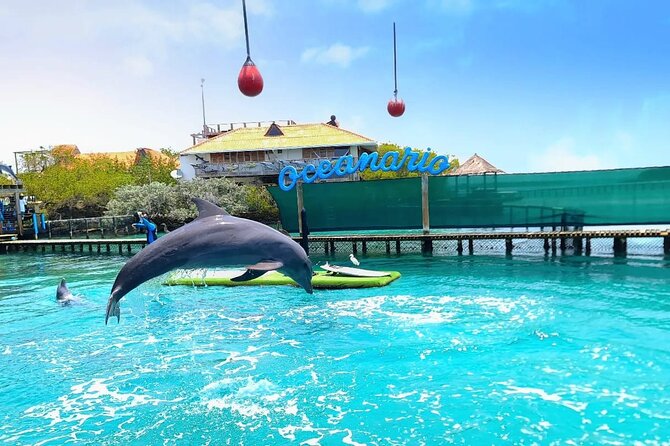 4 Rosario Islands Adventure with entrance to the oceanarium included - Key points to know before booking