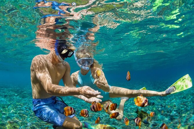 5-Island Speedboat Tour in Cartagena and the Rosario Islands - Key points before you book