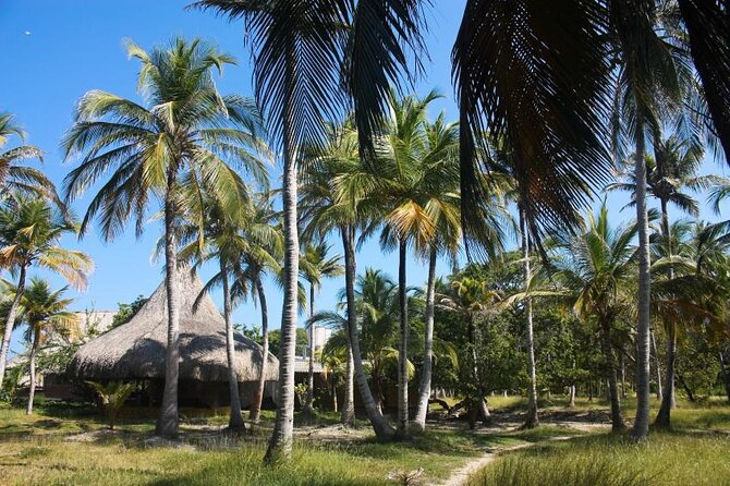 5 Islands Tour from Cartagena Including Snorkeling and Lunch - Key details before you reserve