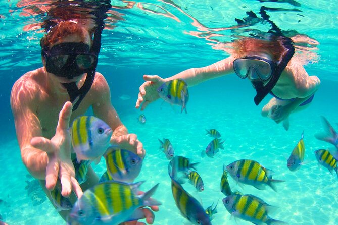 5 Stop Boat Tour Rosario Islands with Lunch, Forts, & Snorkeling - Boat comfort, delays, and rough water