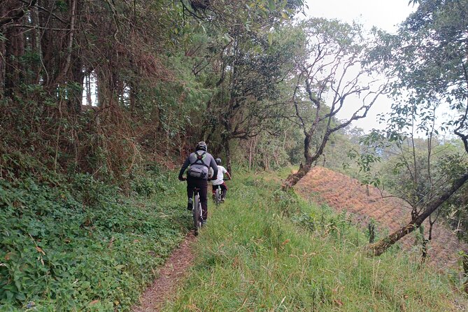 8-Days Private Enduro Mountain Bike Tour in Colombia - Day 5: Infernal DH and the sugarcane route to Manizales