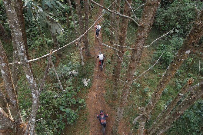 8-Days Private Enduro Mountain Bike Tour in Colombia - Day 6: El Cairo, local farms, and a long transfer