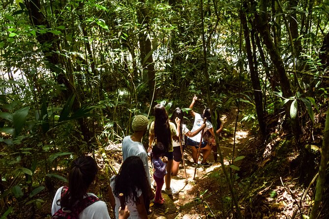 A day to enjoy nature and have an adventure in the Jordan river - Forest Views of Pico de Loro