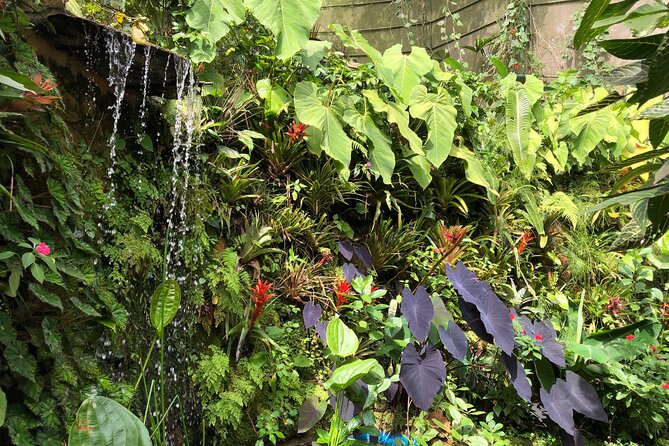 Admission to Andoke Butterfly Center in Cali with Release Ritual - Starting with Colombia in stone