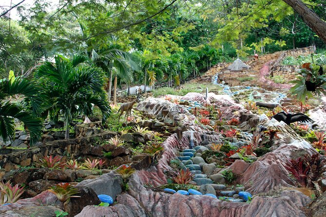 Admission to Andoke Butterfly Center in Cali with Release Ritual - Sitting quietly inside the butterfly enclosure