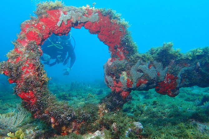 Advanced PADI Diving Course - Is $600 a fair price?
