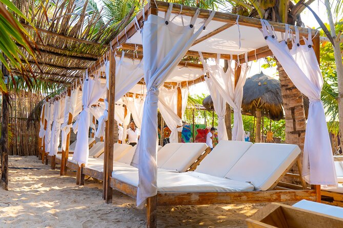 Adventure full day Isla Barú + Mangroves + Snorkel + bioluminescent plankton - The day’s biggest practical problems