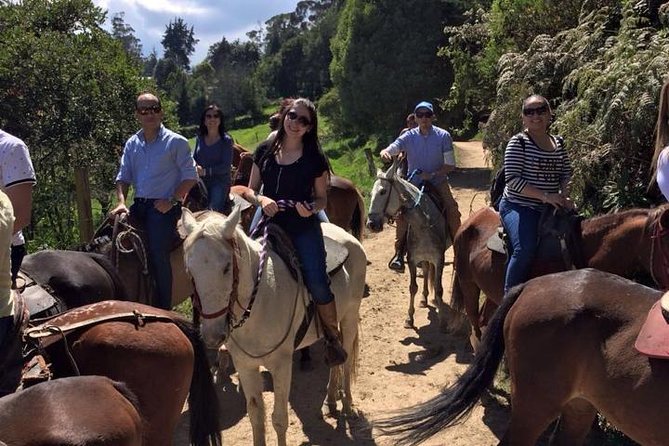 Adventure in the Andes Mountains - Key points to know before booking