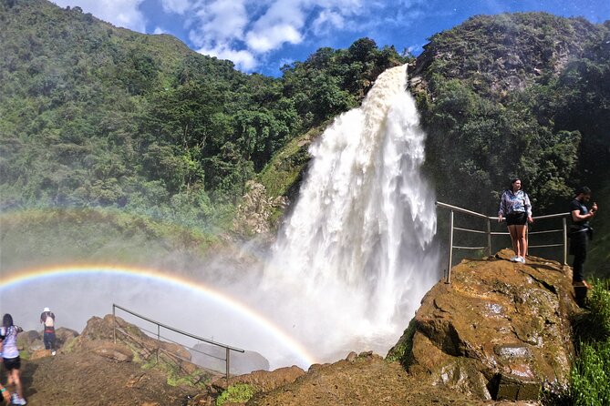Aerial Hammocks, Zip and Waterfall Trek on Medellin Private Tour - From Medellín to Salto de Buey Natural Reserve