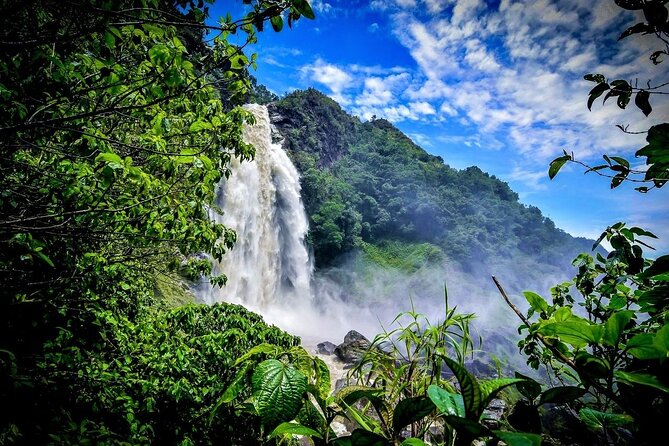 Aerial Hammocks, Zip and Waterfall Trek on Medellin Private Tour - Is $249.99 a fair price?
