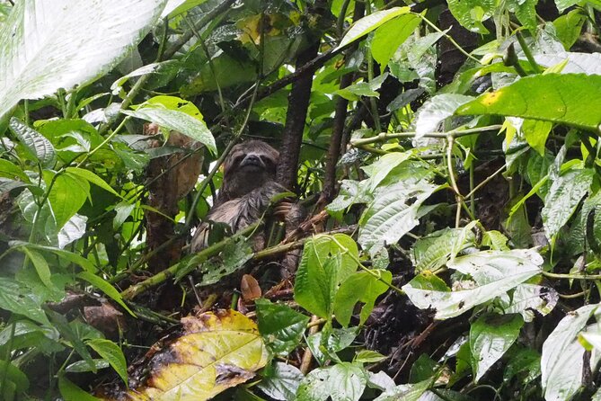 Amazon Conscious Adventure: 5-Day Trek, Kayak & Wildlife - Why this Amazon trip feels different