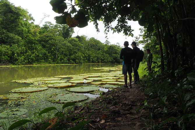 Amazon Conscious Adventure: 5-Day Trek, Kayak & Wildlife - Day 2: Eight kilometers through Amacayacu National Park