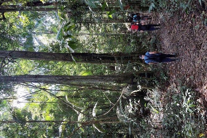 Amazon Unveiled: Private Ancestral Immersion & Conscious Luxury - Crossing into Peru at Cacao Island