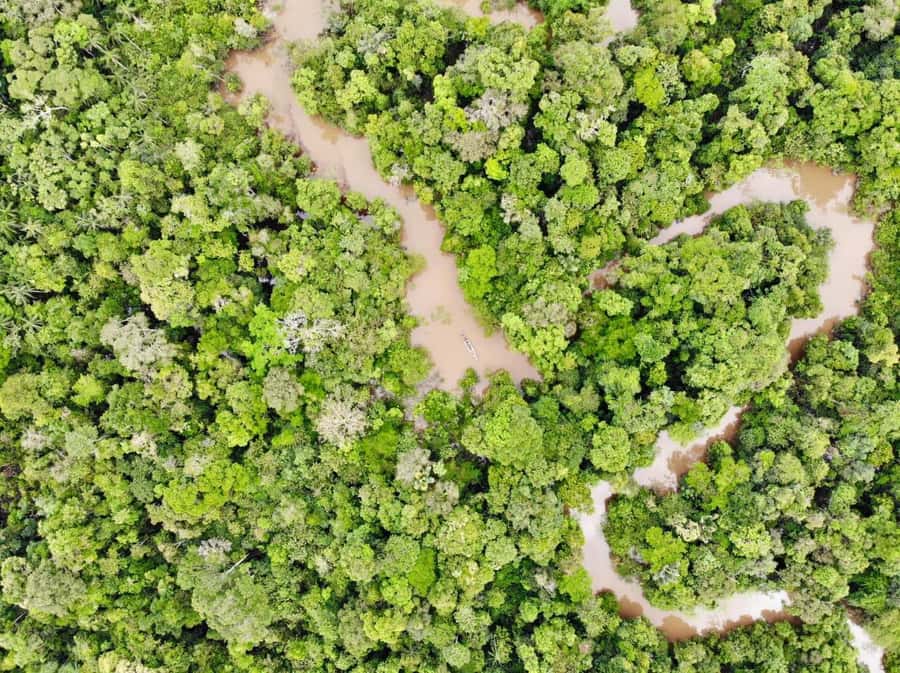 Amazonas Extreme - Two nights of simple jungle life