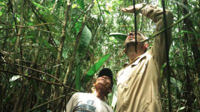 Amazonas Extreme