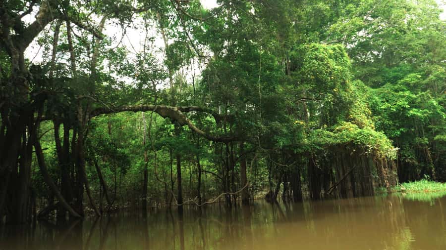 Amazonas Extreme - The return hike to Leticia