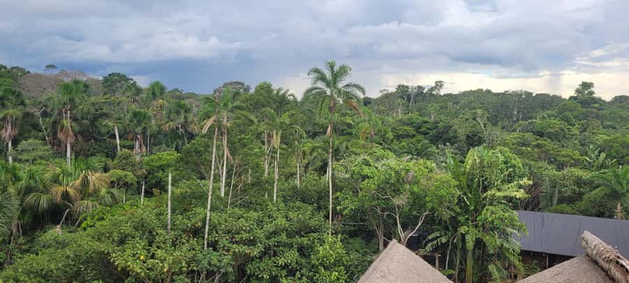 Amazonas Extreme - What the $704 price really covers