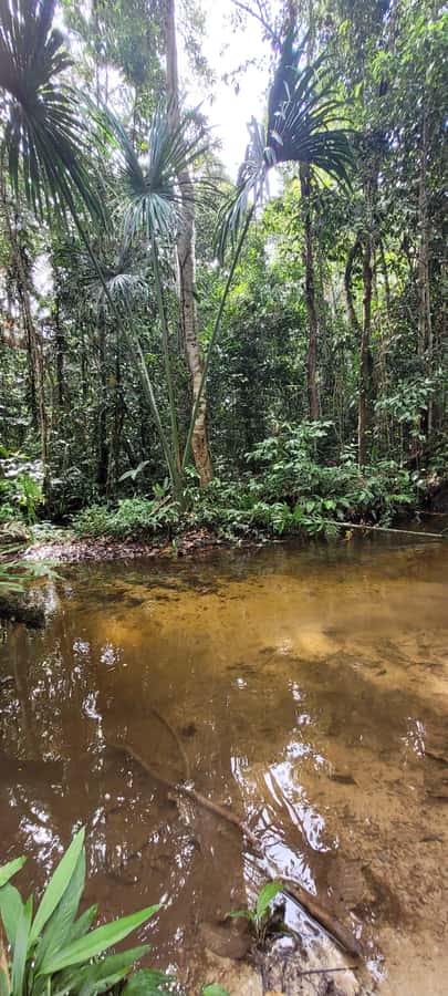 Amazonas Extreme - Who will enjoy Amazonas Extreme most