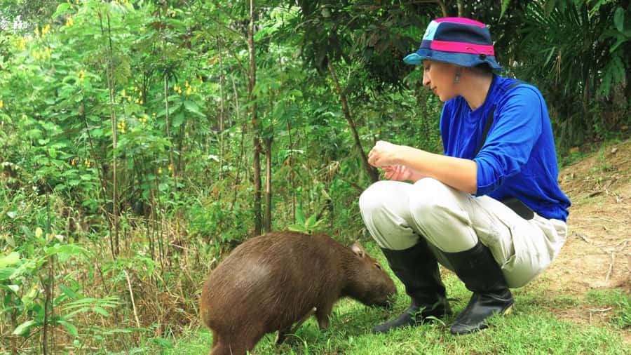 Amazonas Extreme - Should you book this four-day Amazon adventure?