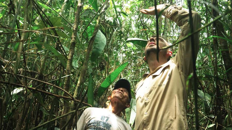 Amazonas Extreme - Walking toward the Calderon River on day two