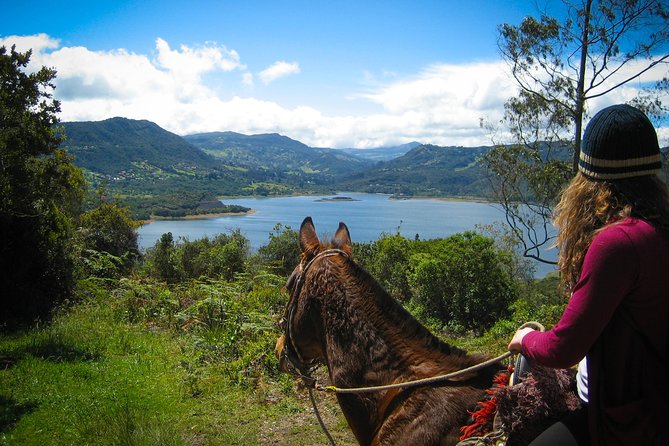 Andes Mountains Horseback Riding - Half Day - Key points to know before you book