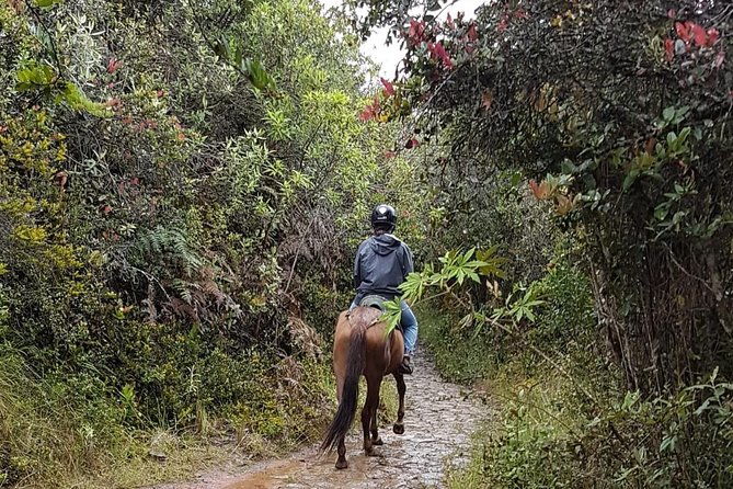 Andes Mountains Horseback Riding - Half Day - Leaving Bogotá for the Eastern Mountains
