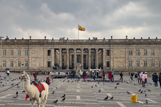 Armed Conflict and Violence Tour in Bogotá, Colombia - Why this Bogotá tour is different