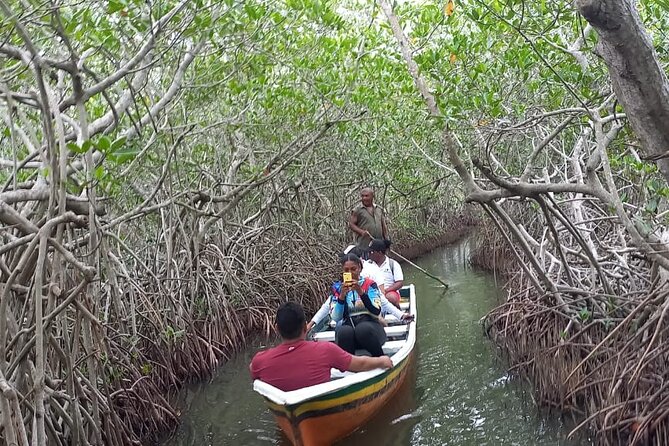 Artisanal Canoe Tour in the Mangrove with Afro-Caribbean Dance - Who should book this tour?