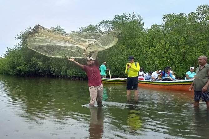 Artisanal Canoe Tour in the Mangrove with Afro-Caribbean Dance - Taking a canoe through the mangrove channels