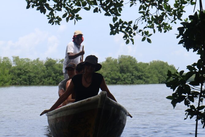 Artisanal Fishing of Crabs and Fish in Mangroves with Natives - Key points to know