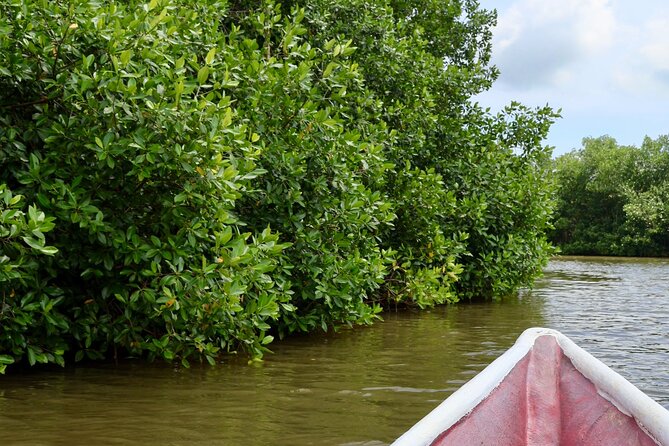 Artisanal Fishing of Crabs and Fish in Mangroves with Natives - The fishing activity: participation, not performance