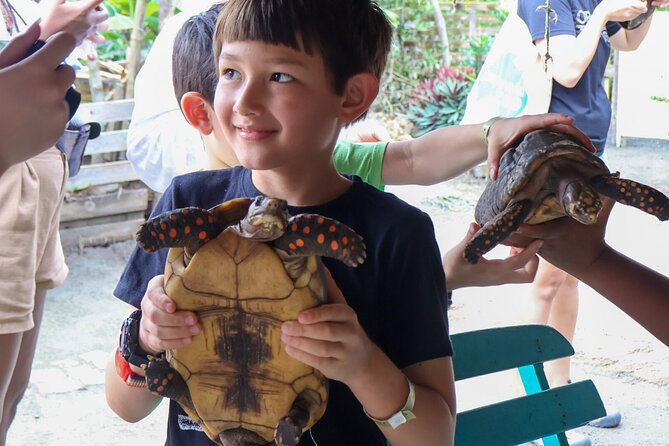 Artisanal Fishing of Crabs and Fish in Mangroves with Natives - Who will enjoy this most