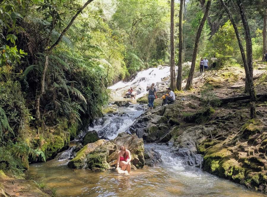 Arvi Park Walking tour and city views from Metrocable. - Why Arví Park makes a good break from Medellín