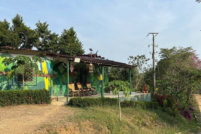 ATV Thrill Ride Near Cartagena Through Wildlife Trails and Nature - Villanueva Farms and Rural Colombian Life