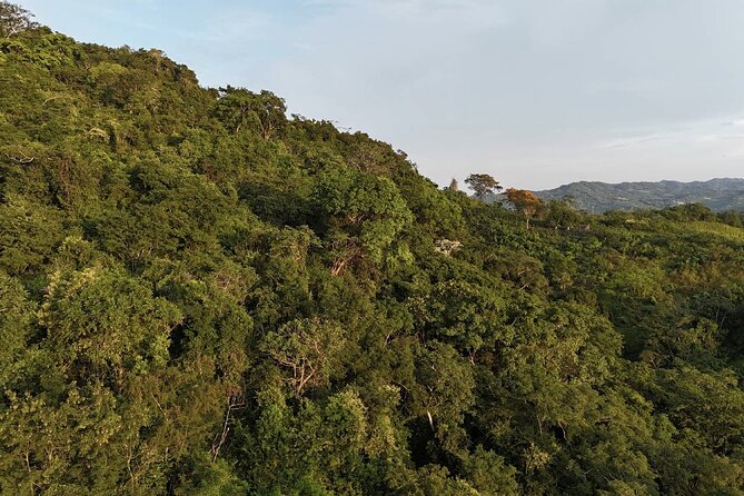 ATV Thrill Ride Near Cartagena Through Wildlife Trails and Nature - Planting a Native Tree Before You Leave