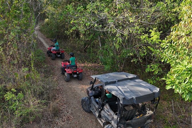 ATV Thrill Ride Near Cartagena Through Wildlife Trails and Nature - Riding a Honda TRX 250 Through Dry Forest