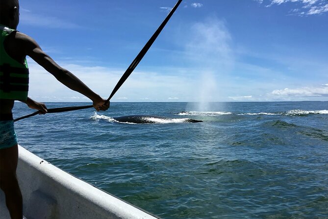 Bahía Málaga: Humpback Whale Watching in Cali - Colombia - Crossing toward Juanchaco and Bahía Málaga