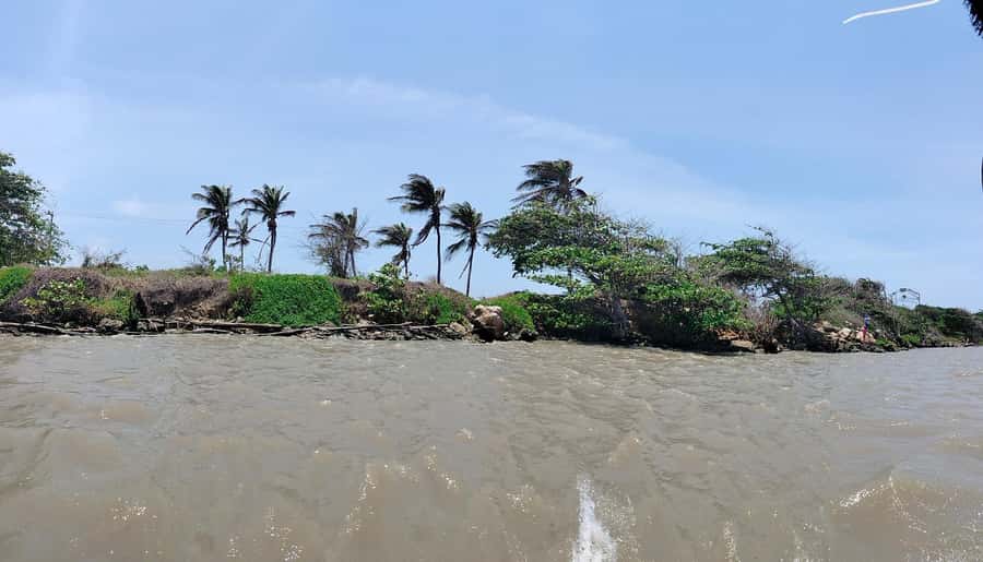 Barranquilla: Magdalena River and Bocas de Cenizas Tour - A coastal lunch with time to slow down