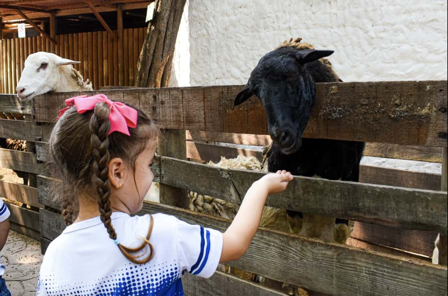 Barranquilla Zoo Access Ticket - What your $11 ticket actually buys